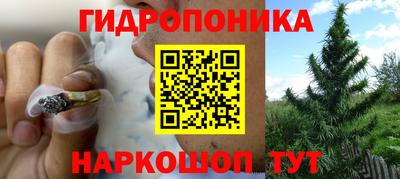 экстази Гагарин