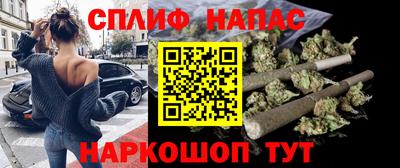 дживик Гатчина
