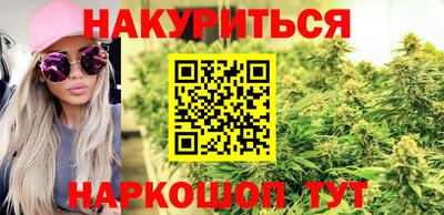 дживик Гатчина