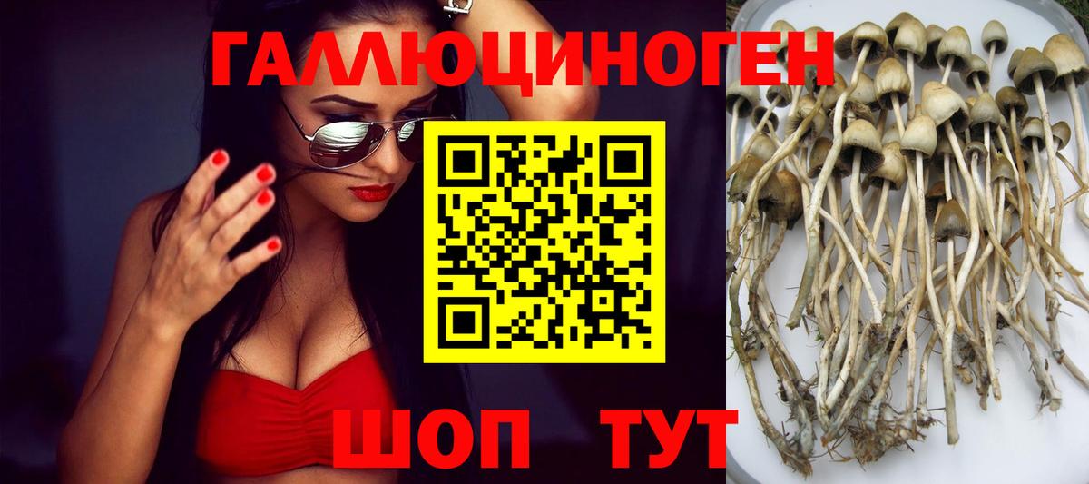 Галлюциногенные грибы мухоморы  Вход с VPN  Мытищи 